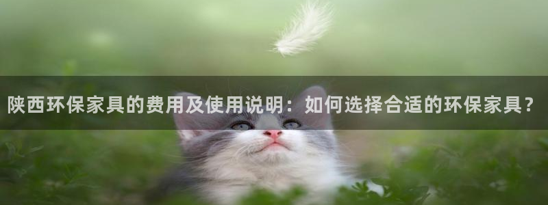 沐鸣平台客服：陕西环保家具的费用及使用说明：如何选择合适的环