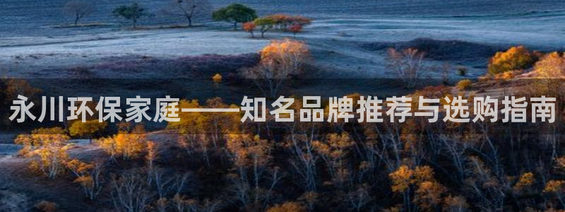 沐鸣平台登录地址：永川环保家庭——知名品牌推荐与选购指南