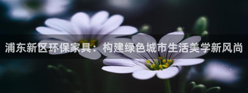 沐鸣平台手机：浦东新区环保家具：构建绿色城市生活美学新风尚