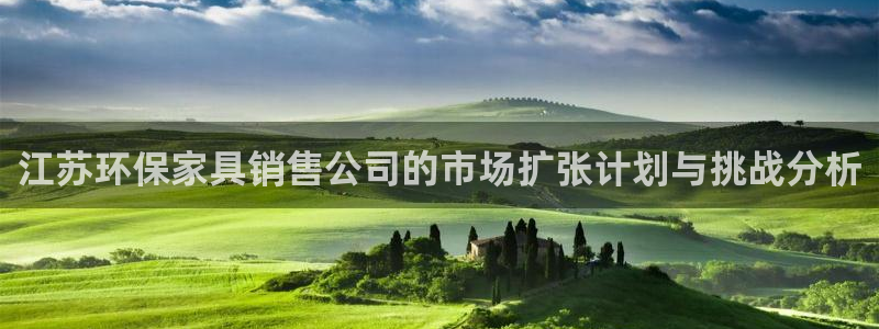 沐鸣官网app：江苏环保家具销售公司的市场扩张计划与挑战分析