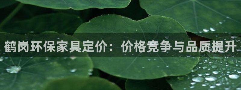 沐鸣登陆测速：鹤岗环保家具定价：价格竞争与品质提升