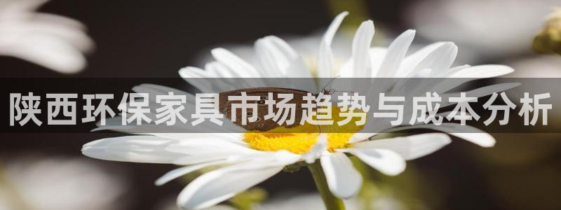 沐鸣测速登录地址：陕西环保家具市场趋势与成本分析