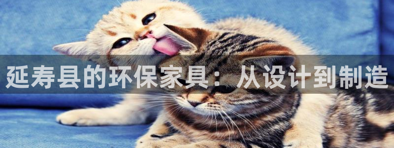 沐鸣平台代理注册多少钱：延寿县的环保家具：从设计到制造