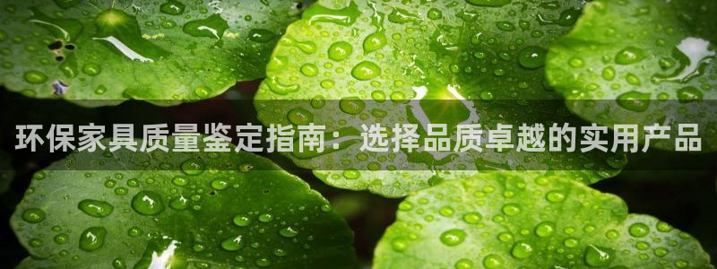 沐鸣平台官网网址：环保家具质量鉴定指南：选择品质卓越的实用产