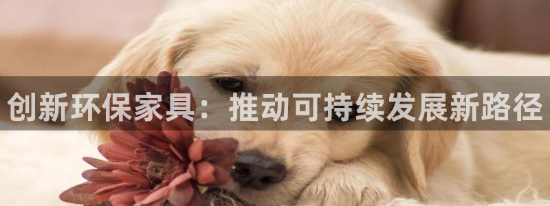 沐鸣平台代理怎么赚钱的