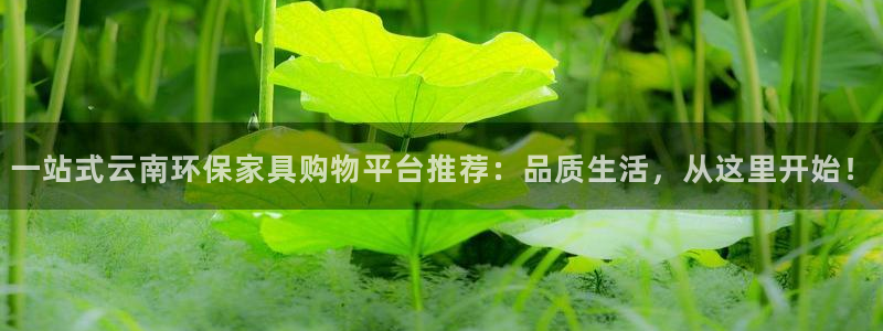 沐鸣3注册：一站式云南环保家具购物平台推荐：品质生活，从这里