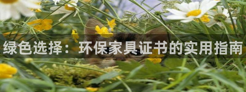 沐鸣平台客户端